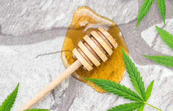 Miel avec du chanvre : Un miel assez particulier